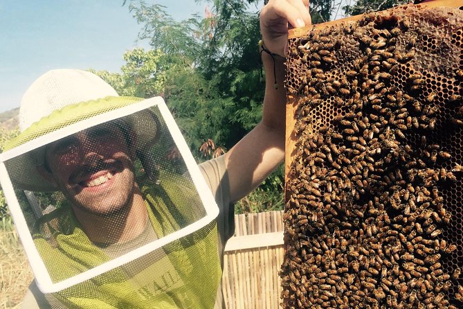 Experience Our Honey Farm And Beekeeping Tour - A small farm with a close-up view of bees