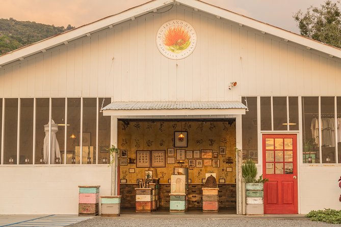 Experience Our Honey Farm And Beekeeping Tour - Is $30 a good value?