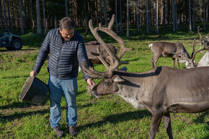 Experience Reindeer Farm and Ranua Wildlife Park in Rovaniemi - Why this Rovaniemi day trip works