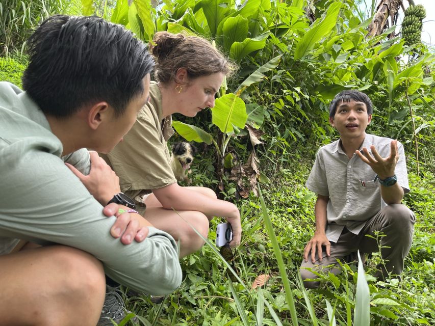 Experience specialty coffee with sustainable coffee farmers - Roasting your own green beans