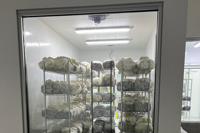 Explore Chicago’s Indoor Mushroom Farm Experience - Why this Chicago farm tour is different