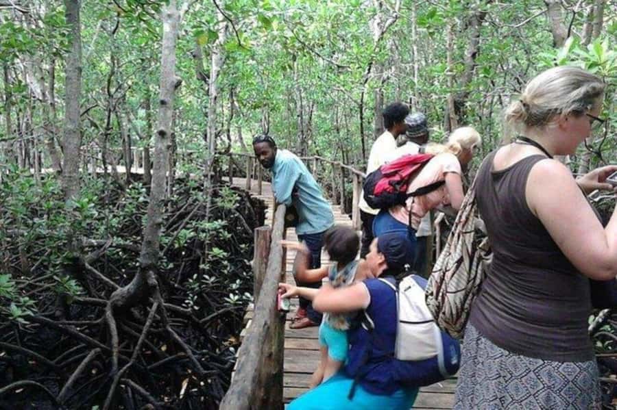 Explore Jozani Forest and Zanzibar Spice Farm - Who Will Enjoy This Tour Most?