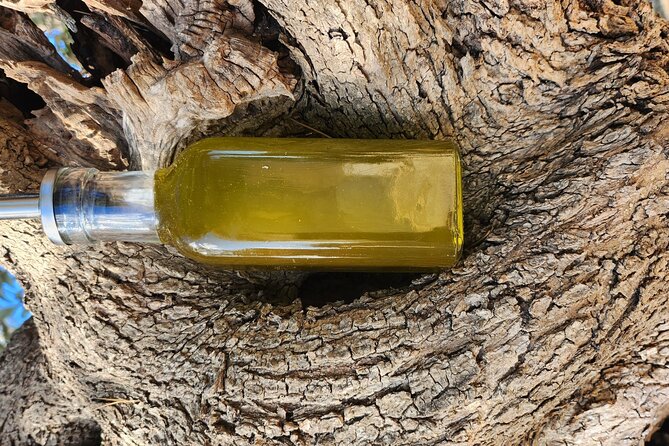 extravirgin olive oil tasting,the story of a farm - Practical details that affect your decision