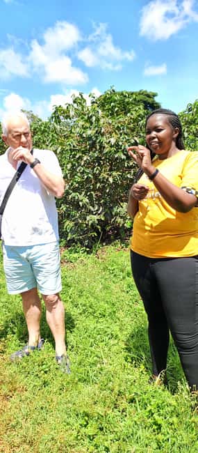 FAIRVIEW COFFEE FARM DAY TOUR - Following coffee from harvest to processing