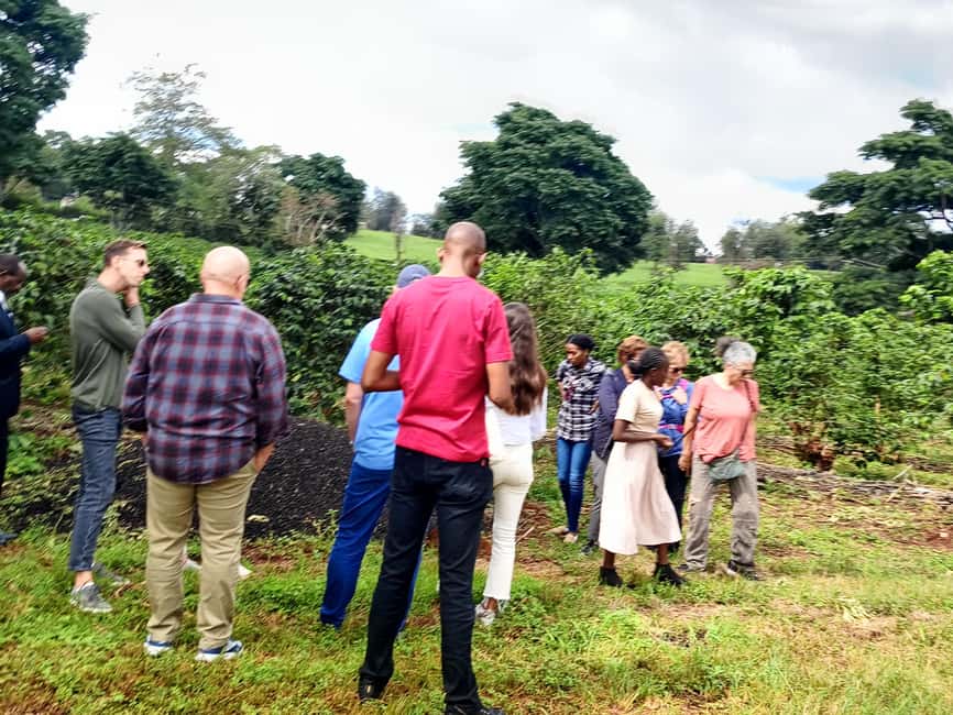 FAIRVIEW COFFEE FARM DAY TOUR - Choosing between the 10am and 2pm show