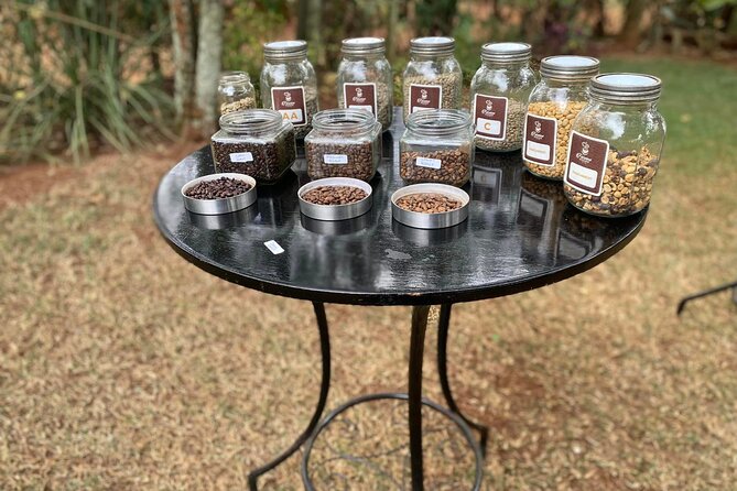Fairview Estate Coffee Farm Tour With Pick up - Who will enjoy Fairview most