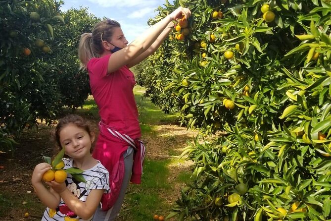 Family Mandarin Farming Tour with Traditional Cooking Lunch - Soraldo Nebo and the human side of the tour