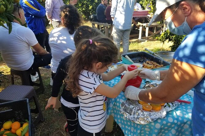 Family Mandarin Farming Tour with Traditional Cooking Lunch - What the $52.98 price really covers
