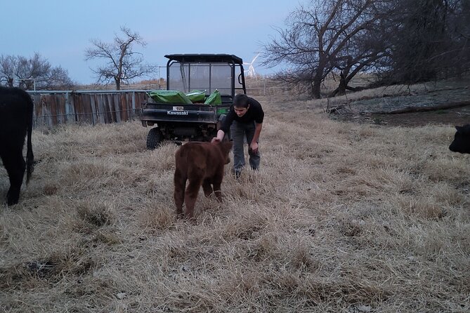 Farm Adventure Experience in Red Hill Ranch - Key things to know before you go