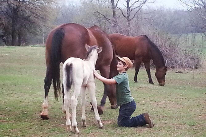 Farm Adventure Experience in Red Hill Ranch - A small Oklahoma ranch with a personal welcome