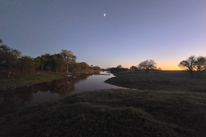Farm Adventure Experience in Red Hill Ranch - Feeding cows and meeting the horses