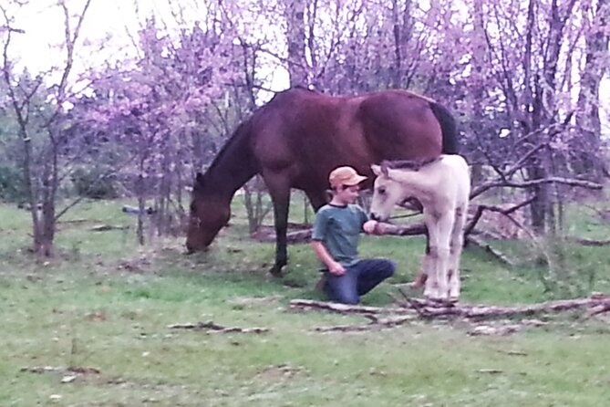 Farm Adventure Experience in Red Hill Ranch - Pickup, location, and planning your arrival
