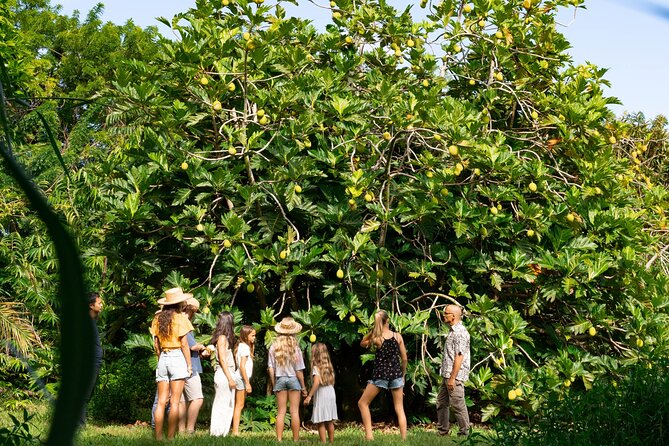 Farm and Food Experience in Kilauea - What makes the setting special