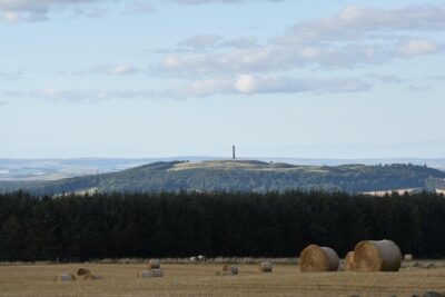 Farm Attraction – Highland Cows, Animal Feeding, Wholesome fun!
