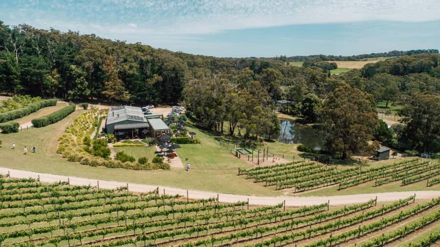 Farm Picnic for 2 adults - Key Points Before You Book