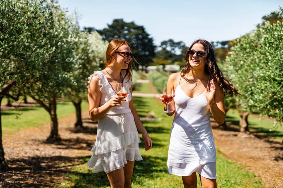 Farm Picnic for 2 adults - Choosing Your Estate Wine