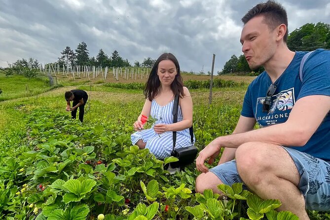 FARM STAY EXPERIENCE & DOZZA - Private Day Tour From Bologna - Leaving Bologna at 9:30 am
