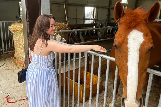 FARM STAY EXPERIENCE & DOZZA - Private Day Tour From Bologna - A three-course lunch with homemade pasta