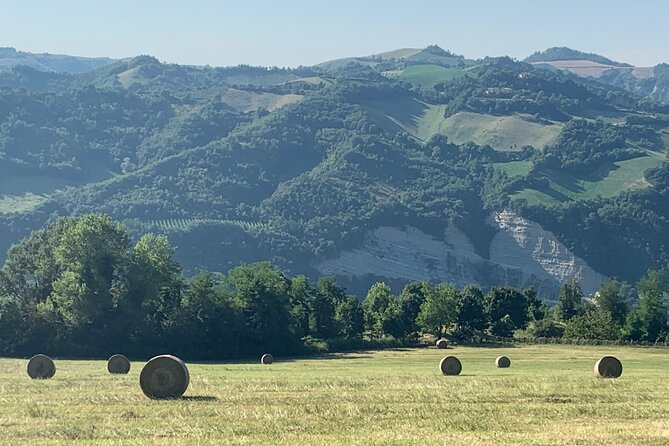 FARM STAY EXPERIENCE & DOZZA - Private Day Tour From Bologna - Dozza, where painted walls tell stories