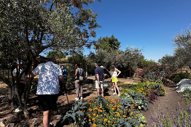 Farm to Table Cooking Experience in San Miguel - Key things to know before you book