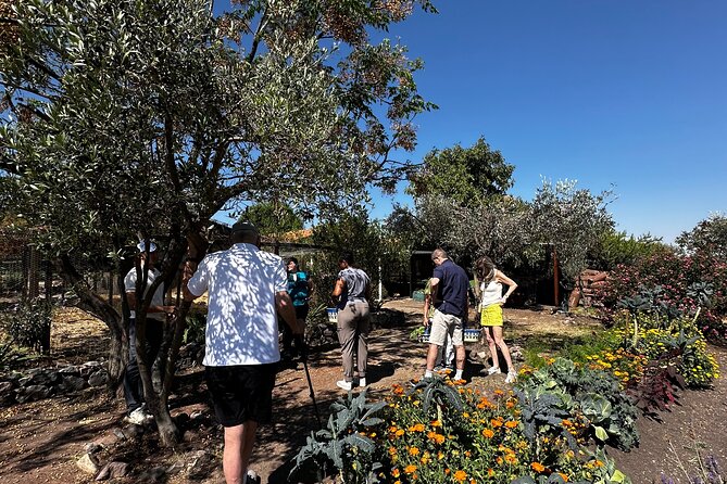 Farm to Table Cooking Experience in San Miguel - A 9:00 am start from San Miguel de Allende