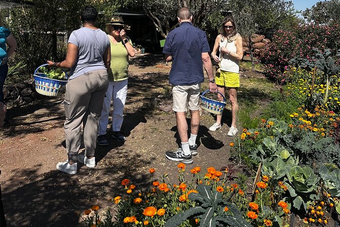 Farm to Table Cooking Experience in San Miguel - A four-course lunch in the garden