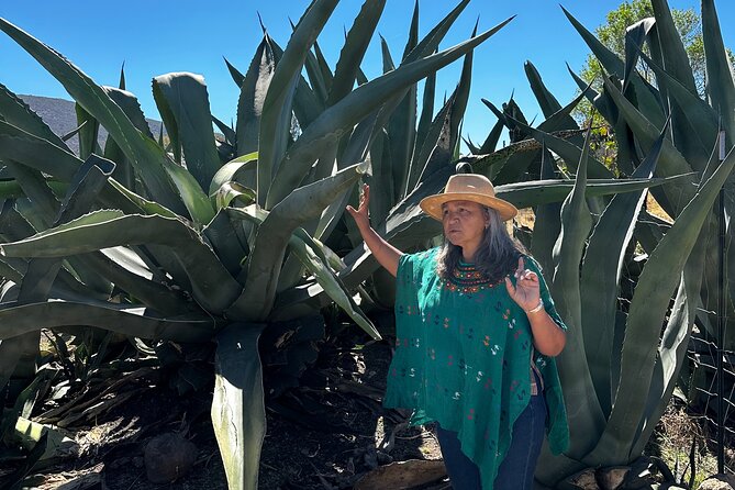 Farm to Table Cooking Experience in San Miguel - Walking through an organic farm