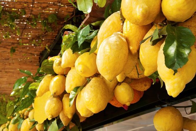 Farm-to-Table Experience: Olive Oil, Garden Tour & Nonna’s Lunch - What is served for Nonna’s lunch