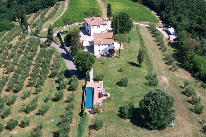Farm To table Experience on an organic hilltop estate in Tuscany - Walking through vineyards, olive trees, and gardens