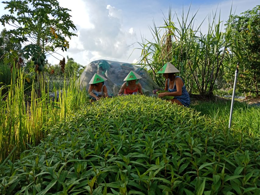 Farm-To-Table Healthy Cooking Class: Half-Day Tour - From Ho Chi Minh City to the countryside