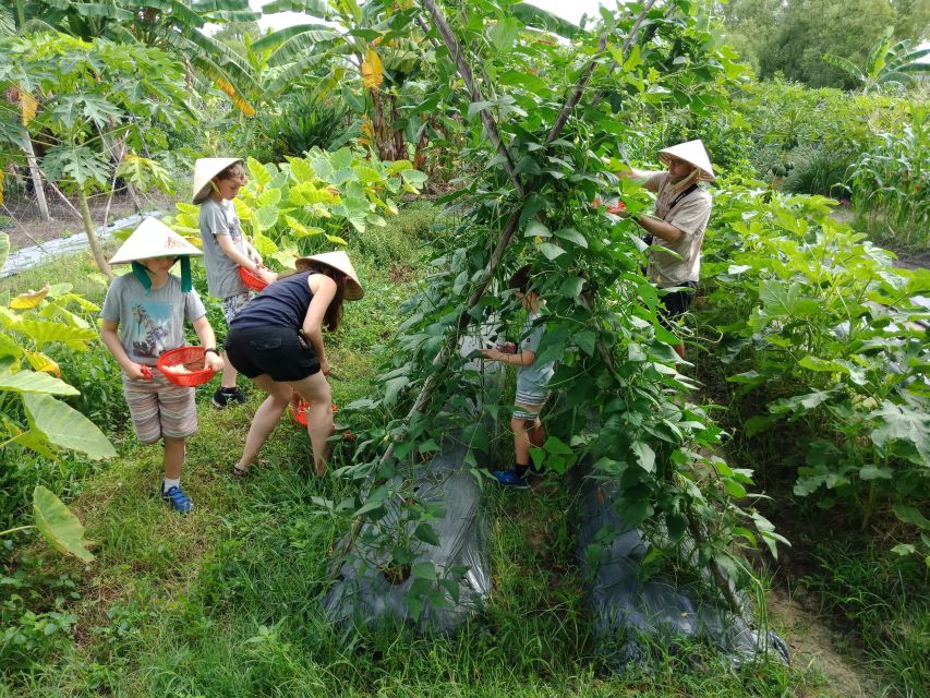 Farm-To-Table Healthy Cooking Class: Half-Day Tour - What the $70 price really includes