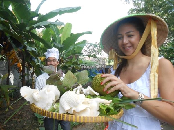 Farm-To-Table Healthy Cooking Class: Half-Day Tour - The medicine garden: herbs with a practical purpose