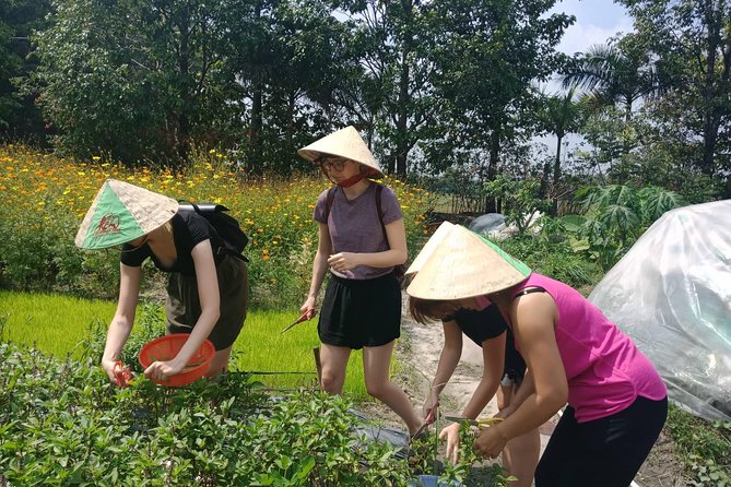Farm-To-Table Healthy Cooking Class in Ho Chi Minh City - Lunch, Fruit, Equipment, and the Final Certificate