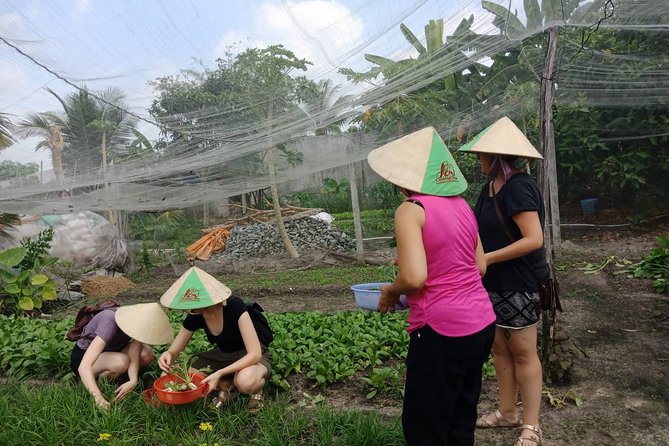 Farm-To-Table Healthy Cooking Class in Ho Chi Minh City - Is $67 Good Value?