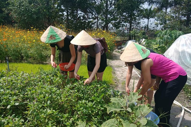 Farm-To-Table Healthy Cooking Class in Ho Chi Minh City - A Hammock Break Before the Cooking Begins