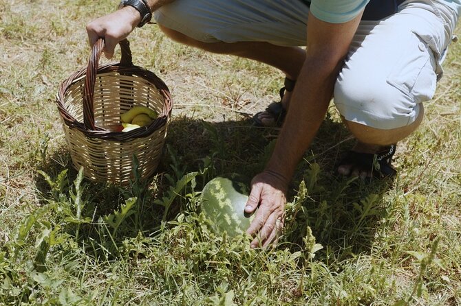 Farm to Table - Local Cooking Experience - Group size, value, and the $313 cost