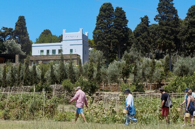 Farm to Table - Local Cooking Experience - Who should book this experience
