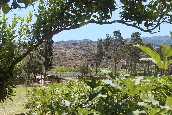 Farm to Table - Local Cooking Experience - Picking seasonal produce in the private garden