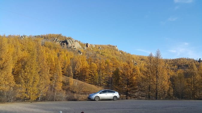 Farm to Table: Organic Farm Visit and Mongolian Cooking Class - Who Will Enjoy This Experience Most?
