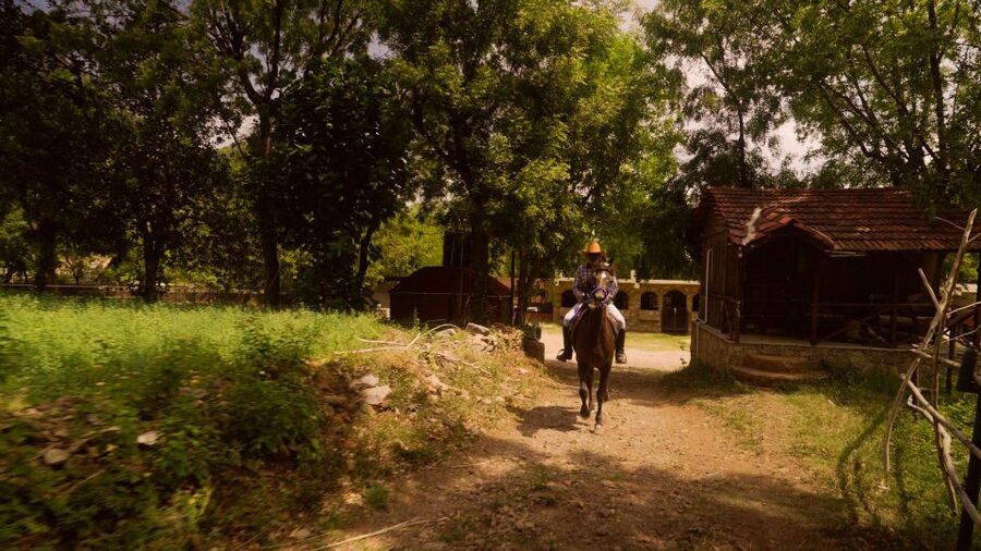 Farm to Table: With a local farmer family - Adding a Village Temple and Step Well