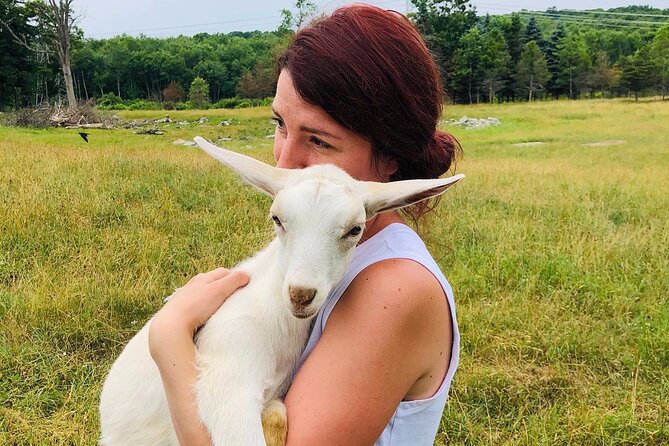 Farm Tour at Clover Brooke Llama/Alpaca/Goat Farm - What Makes This Farm Tour Different