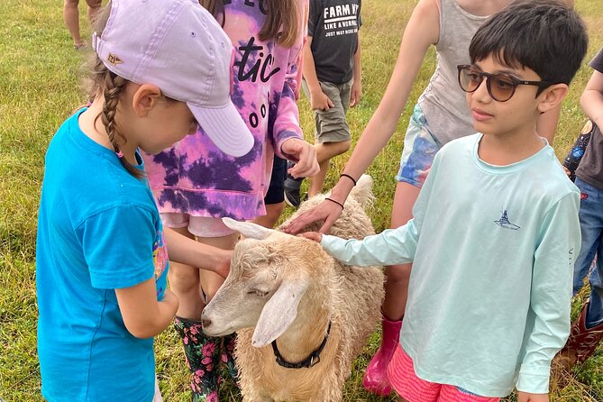 Farm Tour at Clover Brooke Llama/Alpaca/Goat Farm - Who Will Enjoy This Farm Visit Most?