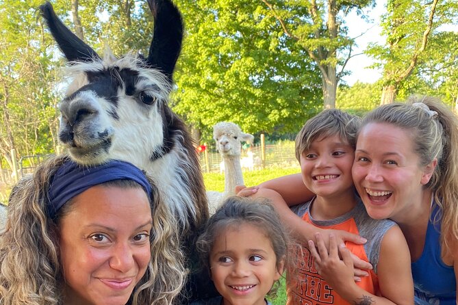 Farm Tour at Clover Brooke Llama/Alpaca/Goat Farm - Should You Book Clover Brooke Farm?