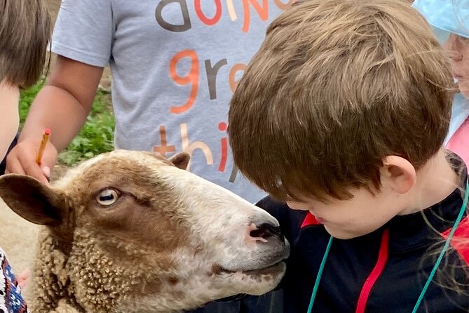 Farm Tour at Clover Brooke Llama/Alpaca/Goat Farm - Why the Guide Can Shape the Whole Visit