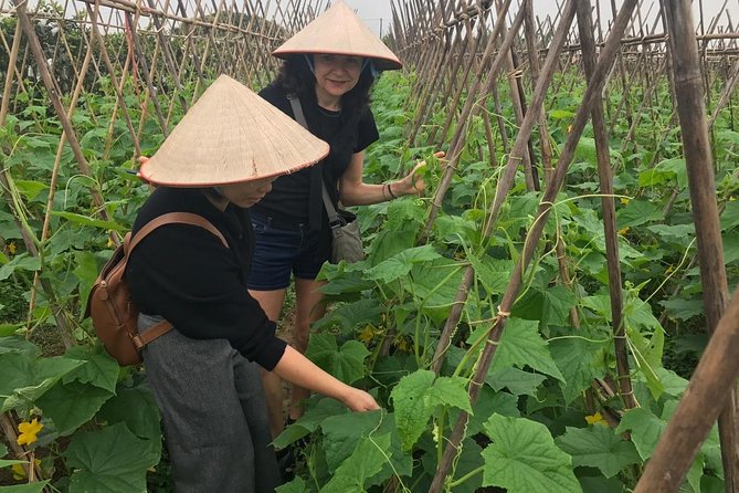 Farm tour & Home cooking class with local family in Hanoi - Starting at the old communal house