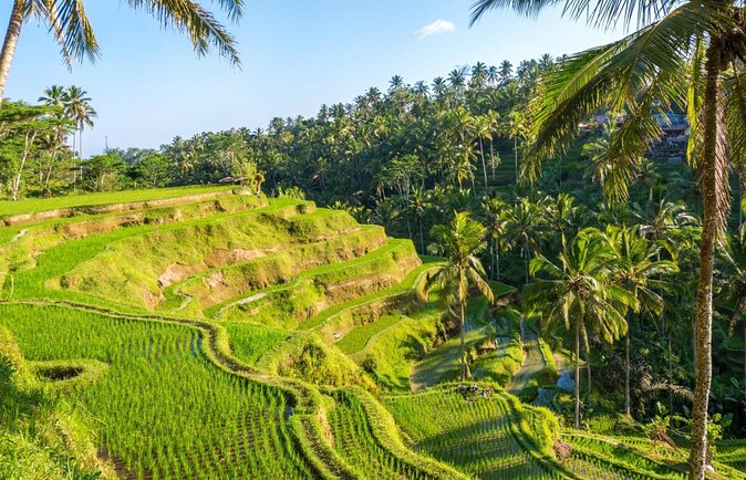 Farmer market, waterfalls, holy spring - All Inclusive - Key points to know before booking