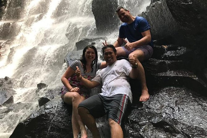 Farmer market, waterfalls, holy spring - All Inclusive - A local Balinese lunch, with extra cost