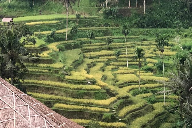 Farmer market, waterfalls, holy spring - All Inclusive - What the $65 price really covers