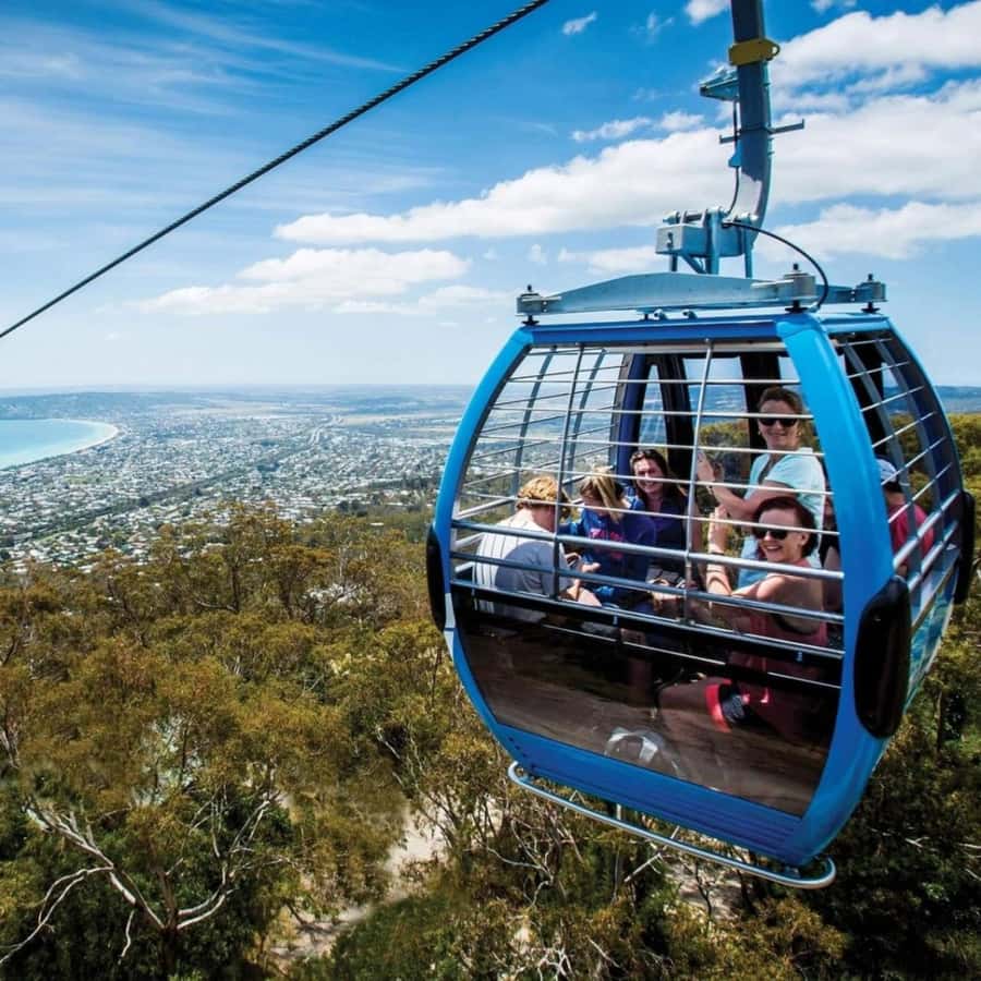 Farmer's Lunch and Arthurs Seat Eagle Cable Car Ride - For 2 - Arthurs Seat Eagle: 25 minutes above the Mornington Peninsula
