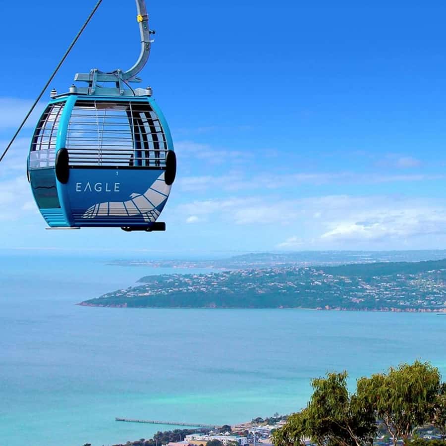 Farmer's Lunch and Arthurs Seat Eagle Cable Car Ride - For 2 - Green Olive at Red Hill: lunch among vines and gardens